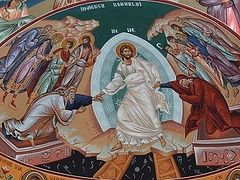 Receive the Apostolic Testimony with Mind and Heart